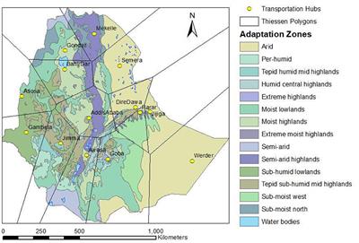 What Are the Domestic and Regional Impacts From Ethiopia's Policy on the Export Ban of Teff?